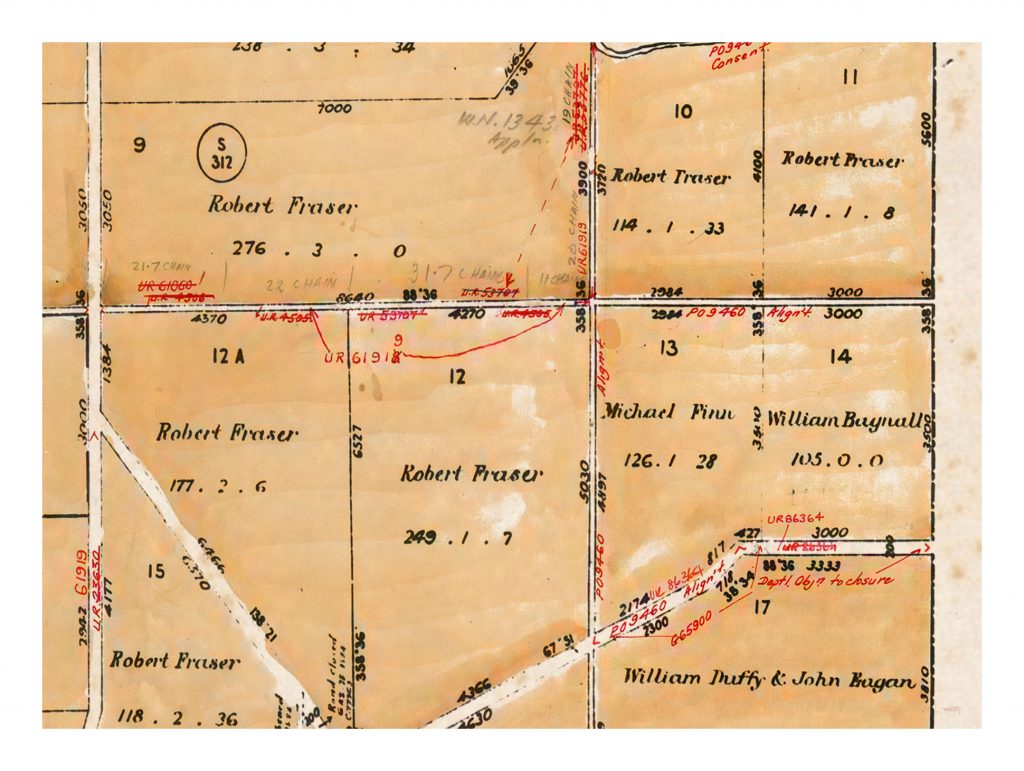 Detail of Springfield Parish Plan