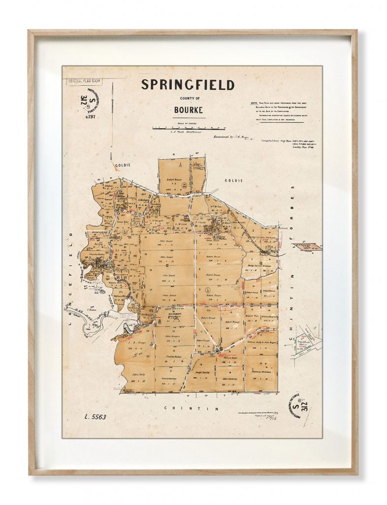 Springfield Parish Plan